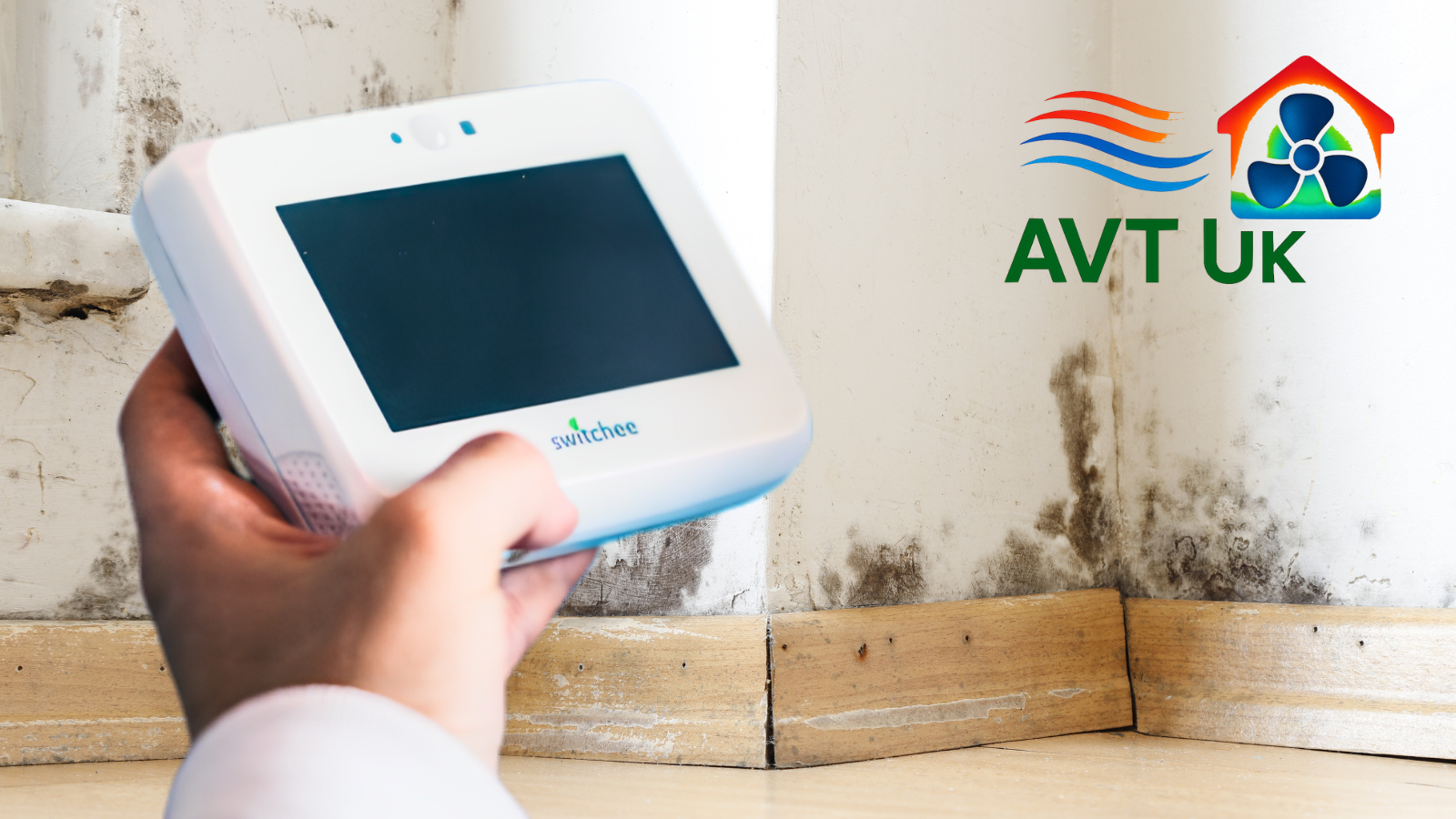 damp and mould, rental property, landlord, Switchee smart thermostat damp and mould, rental property, landlord, Switchee smart thermostat