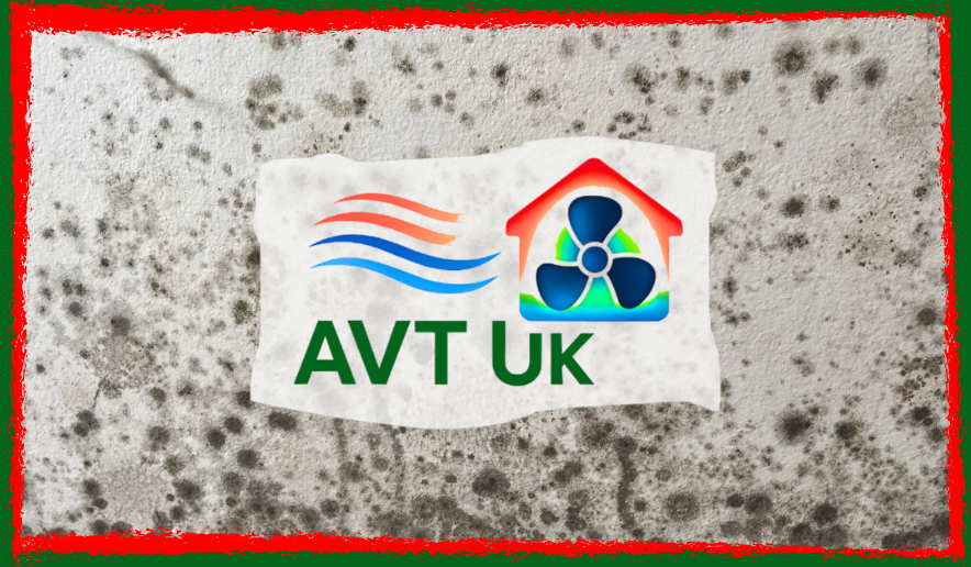 black mould around windows black mould around windows