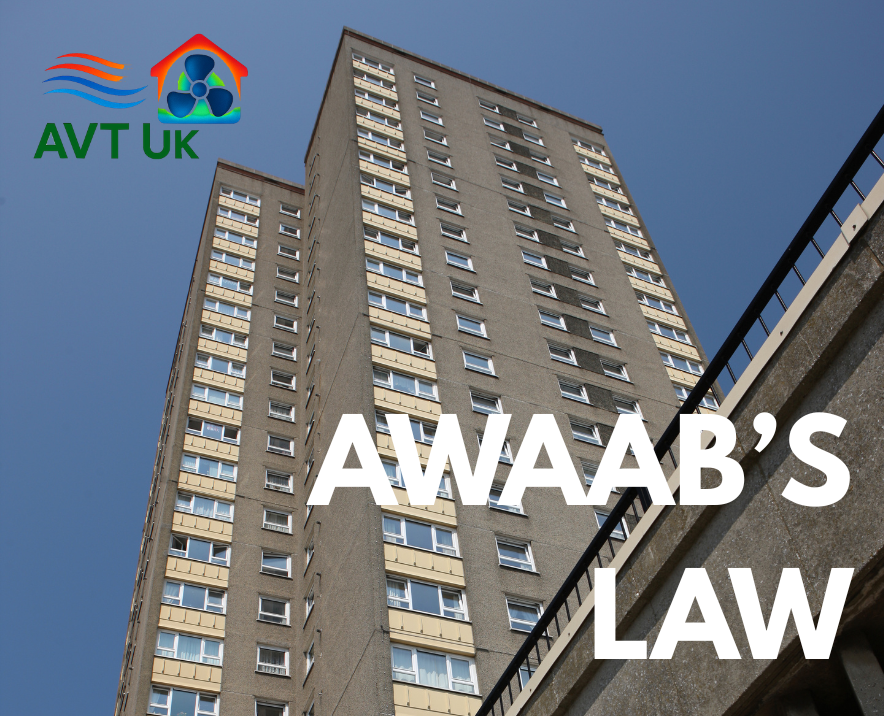 Awaab's Law. damp and mould, landlord obligations, government legislation