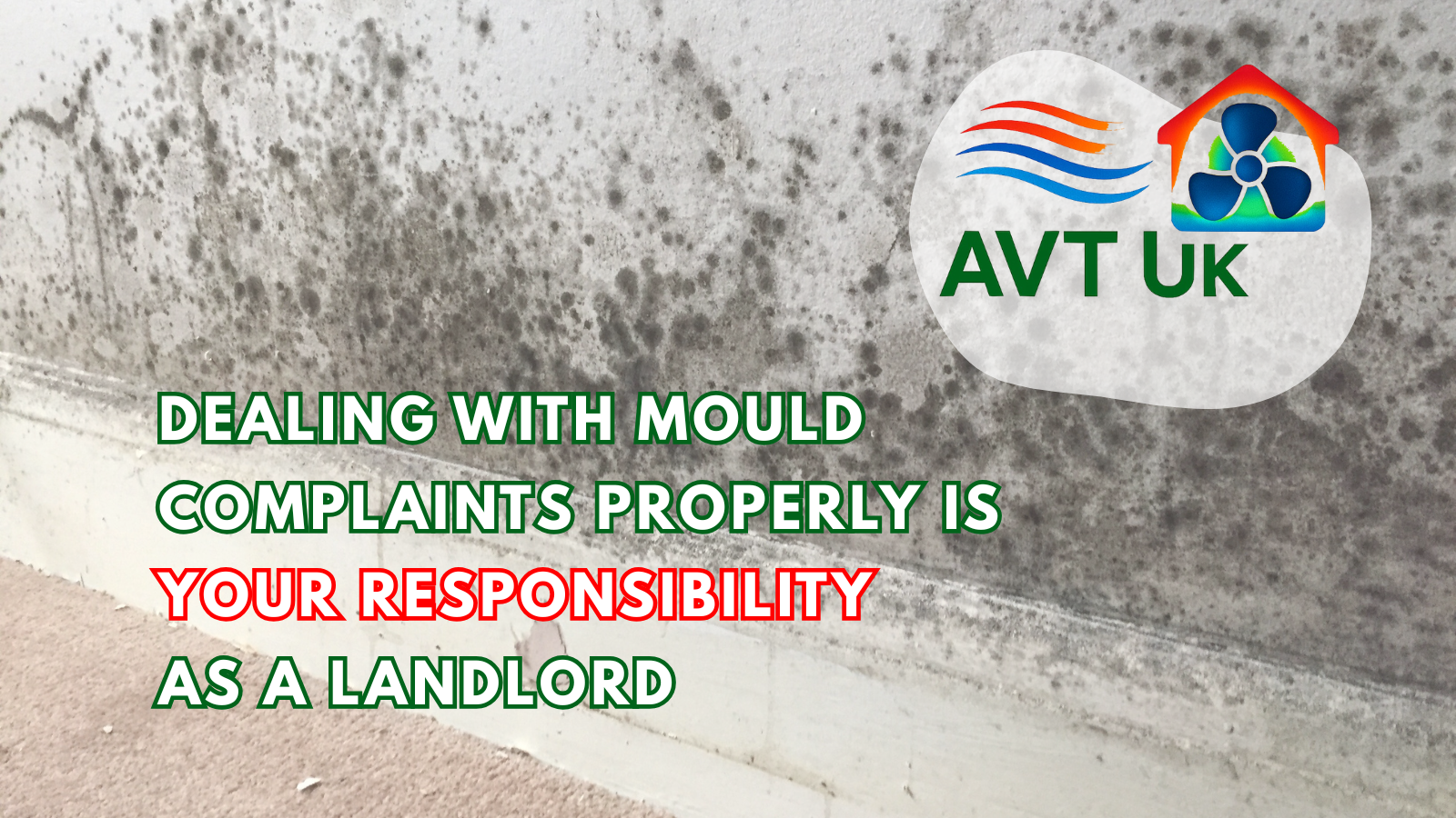 landlord responsibility mould in rental property