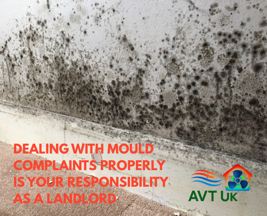 landlord responsibility tenant reports mould